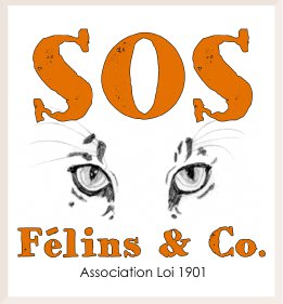 Groupe Leader SOS Félins & co - Protection de la faune