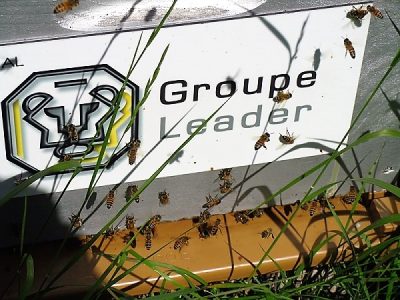 GROUPE LEADER ABEILLES ENVIRONNEMENT