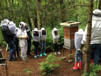 leader biodiversité environnement abeilles rse